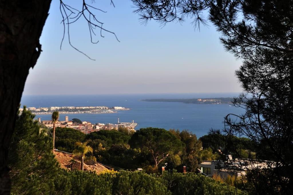 Cannes Beach And Festival Palais Extérieur photo